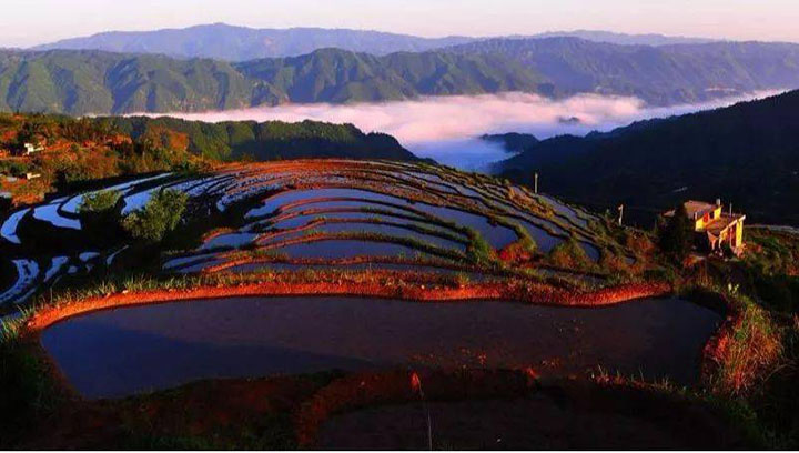 梯田
